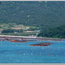 푸른뜰민박 이미지