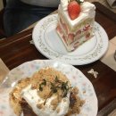 맘모스약국 이미지