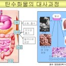 클래스윔 스포츠센터 이미지