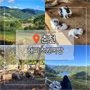초원 제2주유소 | 춘천 가볼만한곳 해피초원목장 스위스 감성 포토존