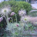 옥계농장 이미지