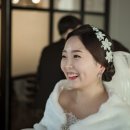 샐리헤어