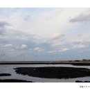 신창싱계물 이미지