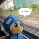 자이언트 태권도 | [25.09.26] 누리와 함께한 부산 나들이 ⛱️ | 폴리테루, 안목 부산역점, 멜리초콜렛, 사직구장 중앙상단석