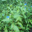 하늘내린황토민박 이미지