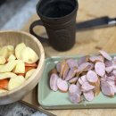 애니멀 체가 이미지