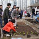 친환경나눔텃밭 이미지