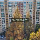 압구정-111 이미지