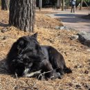 남문공영주차장 | 남한산성 방문 공영주차장 후기