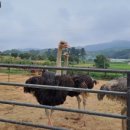 바위농장 이미지