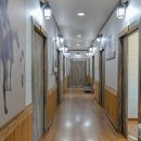 백자산식육식당 | 경산 소고기 맛집 가성비 좋은 한우 사동 백자산식육식당