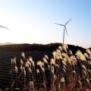 서광 태양광발전소 이미지