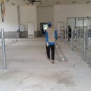 서울대학교 대동물병원 이미지