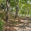 서덕출공원 화장실 이미지