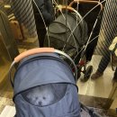 더케이호텔경주 | [국내 여행] 경주 강아지 동반 숙소 "더케이호텔경주" 내돈내산 솔직후기