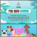 광주 강아지분양 고양이분양 어반펫 광주본점 | 내 고양이와의 첫 만남 광주 강아지분양 고양이분양 어반펫 광주본점