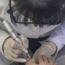 제로푸스