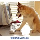 참좋은세상 이미지