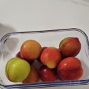 [바퀜] 내 돈 내산 초록마을 공동구매_두 달 사용 후기