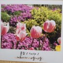 가야4리 이미지