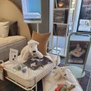 삼중빌딩 | 시몬스동래점 방문기 부모님 침대 바꿔드리기 딱! 바나듐 포켓스프링 뷰티레스트 체험 후기