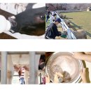 호법목장 이미지