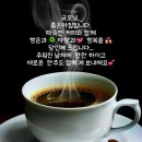 월요일 Daum카페