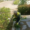 고촌로28번길 이미지