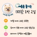 더마루 | 태안 애견동반 여행코스 | 강아지와 안면도 1박 2일 코스