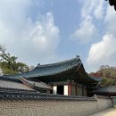 서인약국 | [조금 오래된 사진 3] 서울 도심 속 보석, 창덕궁