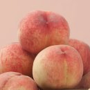 선옥농장 이미지