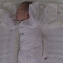 트리시아산후조리원 이미지