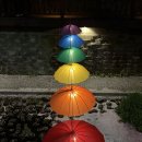 260404 체리블라썸 뮤직페스티벌 무대 마친후 인스타 라이브 영상 💙 이미지