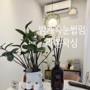 라봄왁싱 | 범계속눈썹펌 잘하는 곳｜라봄왁싱 케라틴펌 후기