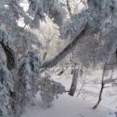 제주시맛집 화산석과의 만남 ! 제주산흑돼지 전문점 돈앤돌♪ 이미지