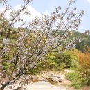 곡성 신기 구간 이미지