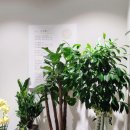 송도삼성정신건강의학과의원 이미지