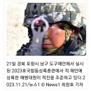 [1사단 소식] [화보] 해병대1사단 포항서 '호국합동상륙훈련' 실시 이미지