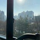 뉴바이브 피트니스 네이버블로그