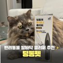 7012 | 고양이 발바닥 털 바리깡 추천, 딩동펫 펫 미니 클리퍼 써본 내돈내산 후기