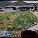 동리보건진료소 이미지