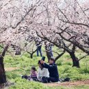 종일농원 이미지