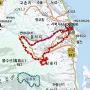 느린꼬부랑길 티스토리