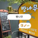 나무에서 | [마포/홍대] 첨가물 없는 수제빵집 빵나무에서 마누카 꿀 카스테라 테이크아웃 후기