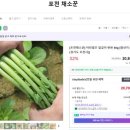 열무농장 이미지