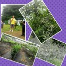 서영농장 이미지