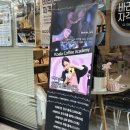 스팀아카데미 | 서울 광진구 라떼아트 클래스 코알라커피 아카데미 왕초보 후기
