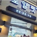 로얄펫 강아지분양 고양이분양 전주본점 이미지