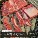 소사벌소한마리 | 천안 성정동 정육식당 소사벌소한마리