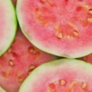 선아 농장 이미지